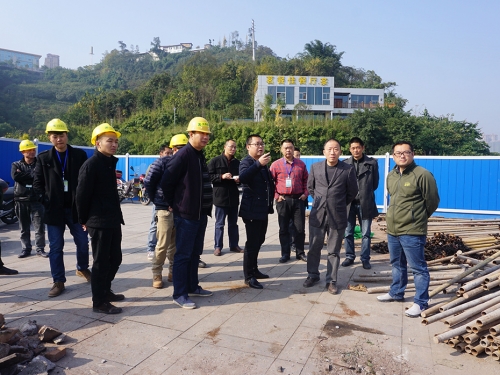 黃勇局長調(diào)研綠道項目建設情況
